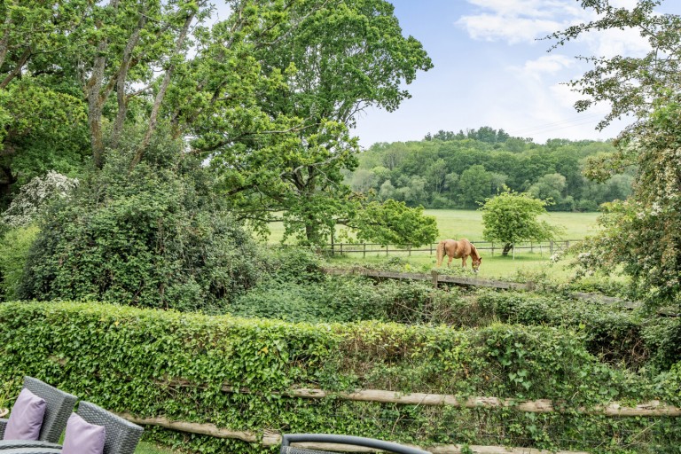 Images for Blacknest, Alton, Hampshire