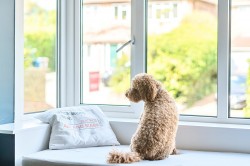 Images for Crondall Lane, Farnham, Surrey