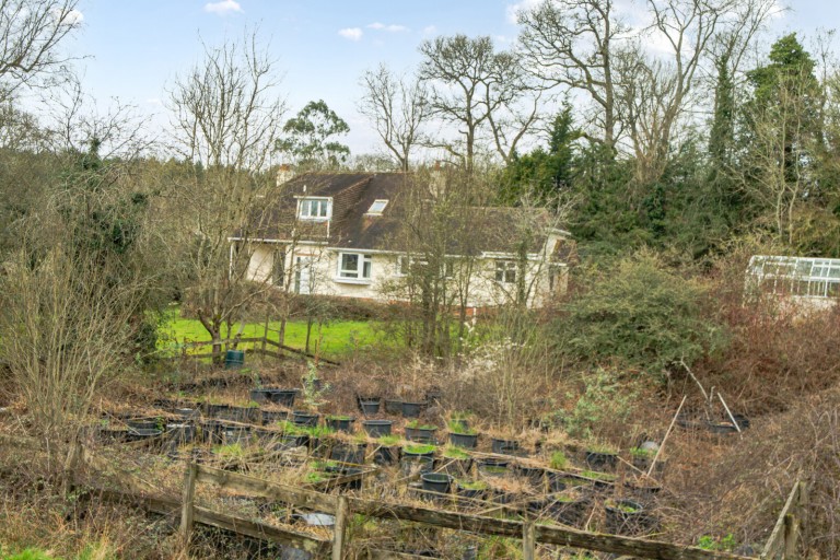 Images for Rowledge, Farnham, Surrey