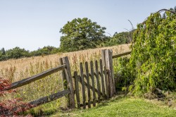 Images for Loxhill, Godalming, Surrey
