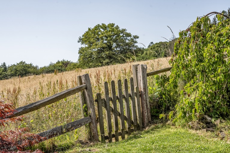 Images for Loxhill, Godalming, Surrey