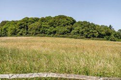 Images for Loxhill, Godalming, Surrey