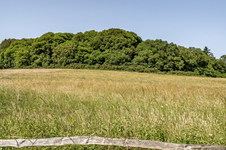 Images for Loxhill, Godalming, Surrey