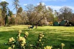 Images for Hascombe Road, Hascombe, Godalming, Surrey