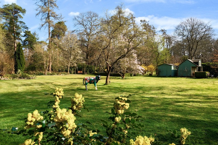 Images for Hascombe Road, Hascombe, Godalming, Surrey