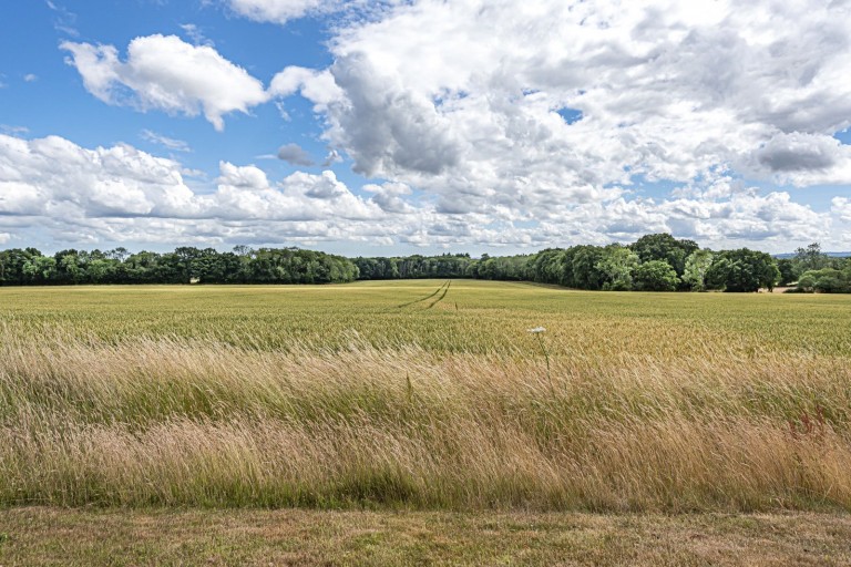Images for Dunsfold Road, Loxhill, GU8
