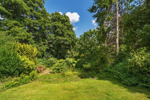 Click the photo for more details of Linersh Wood Close, Bramley, Surrey