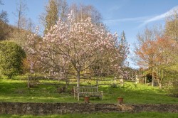 Images for Markwick Lane, Loxhill, Godalming, Surrey