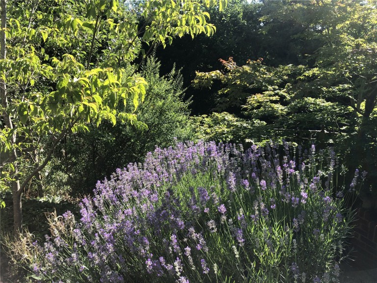 Images for Artington Walk, Guildford, Surrey