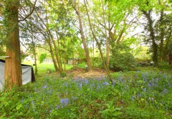 Images for West Horsley, Leatherhead, Surrey