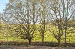 Images for Hunter Way, Cranleigh