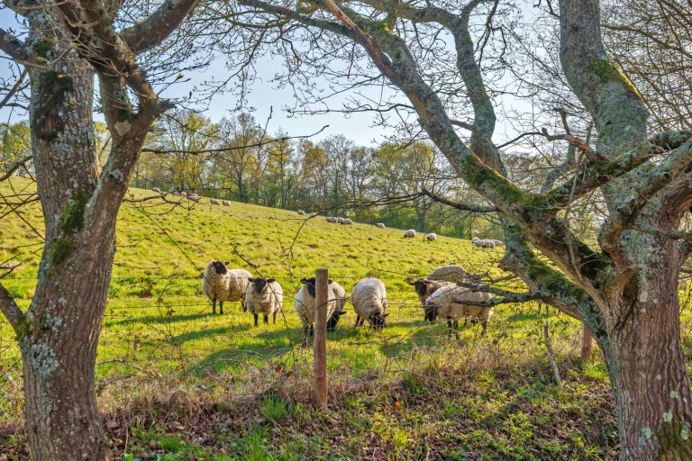 Images for Hunter Way, Cranleigh