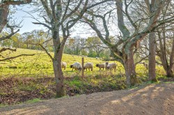 Images for Hunter Way, Cranleigh