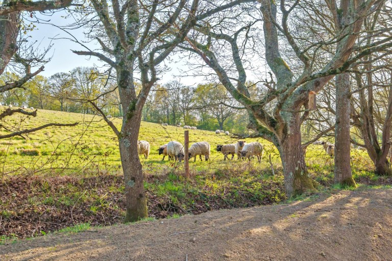 Images for Hunter Way, Cranleigh