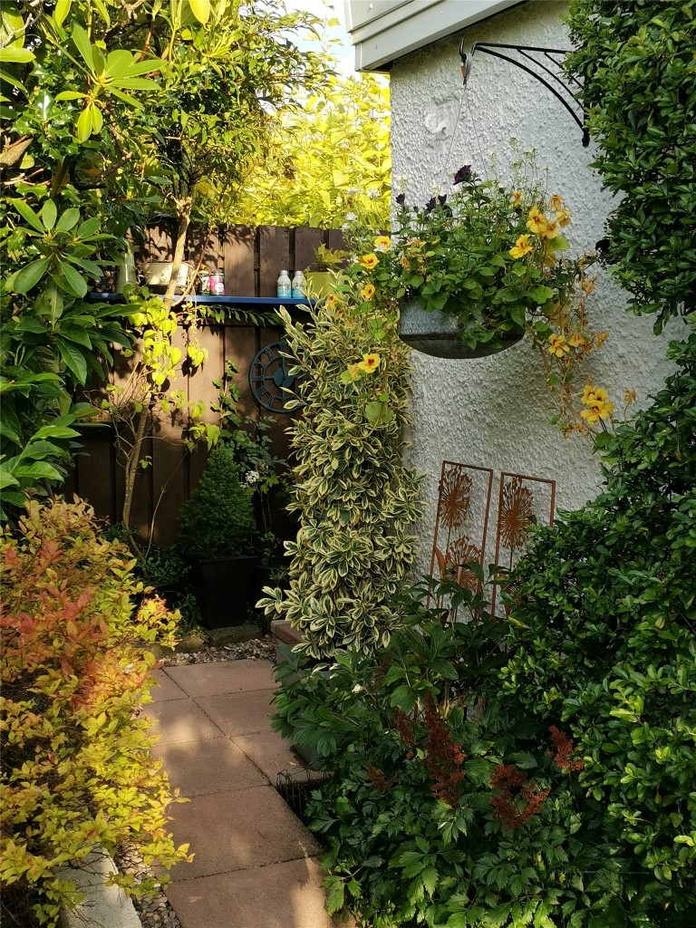 Images for Bearsden, Glasgow