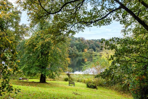 Click the photo for more details of Bearsden