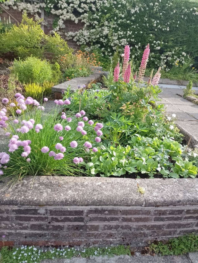 Images for Milngavie