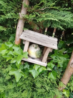 Images for Milngavie