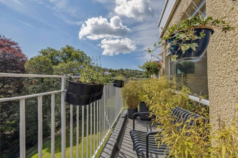 Click the photo for more details of Blanefield