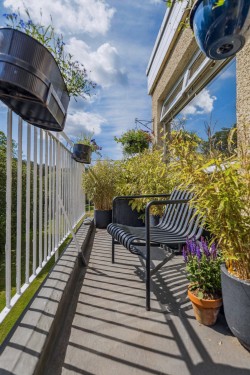 Images for Blanefield