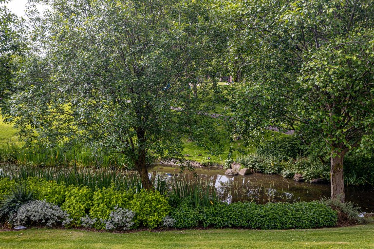 Images for Bearsden