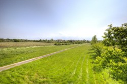 Images for Mayland, Essex