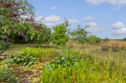 Images for Messing, Colchester, Essex