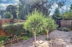 Images for Chelmsford, Essex