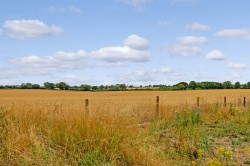 Images for Borley, Sudbury, Essex