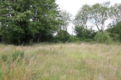 Images for Broxted, Dunmow, Essex