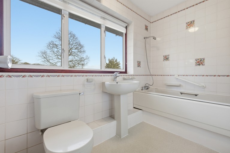 Images for Ingatestone, Essex