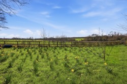 Images for Rivenhall, Witham, Essex