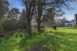 Images for Little Waltham, Chelmsford, Essex