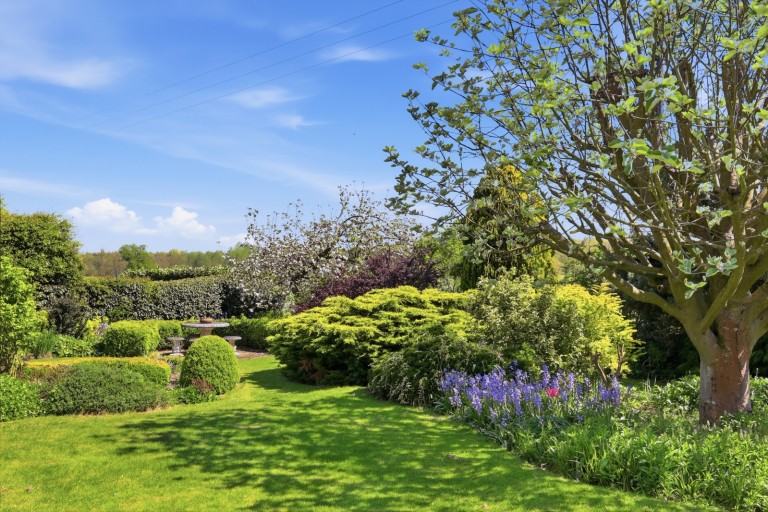 Images for Hatfield Peverel, Chelmsford, Essex