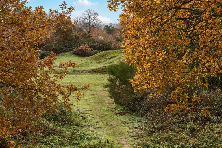 Images for Portsmouth Road, Cobham, Surrey