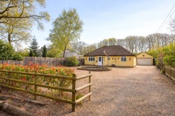 Images for Green Lane, Ockham, Surrey