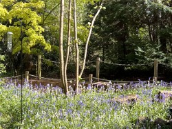 Images for The Highlands, East Horsley, Surrey