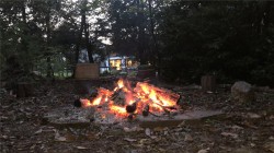 Images for The Highlands, East Horsley, Surrey