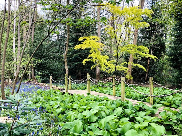 Images for The Highlands, East Horsley, Surrey