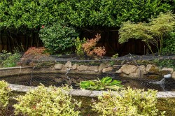 Images for Littleworth Lane, Esher, Surrey