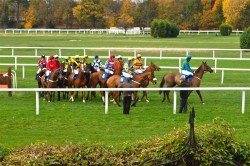 Images for Sandown Gate, Esher, KT10