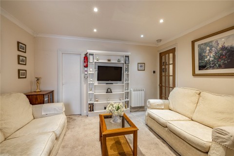Click the photo for more details of Kelso