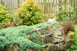 Images for Cupar Muir, Cupar