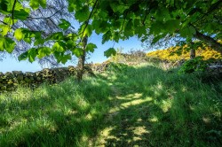 Images for Scottish Borders