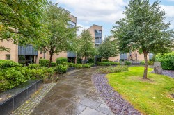 Images for New Gorbals, Glasgow