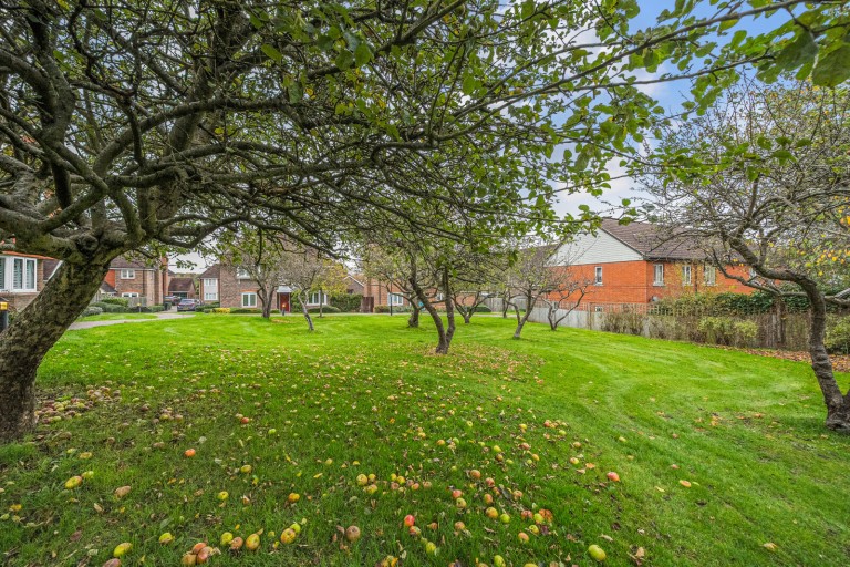 Images for Macdowall Road, Guildford, Surrey