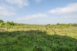 Images for Wanborough, Guildford, Surrey