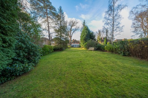 Click the photo for more details of Linersh Wood, Bramley, GU5