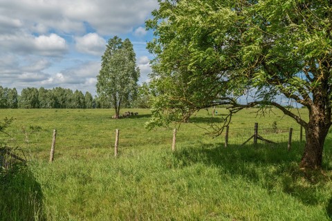Click the photo for more details of Guildford Road, Farnham, Surrey