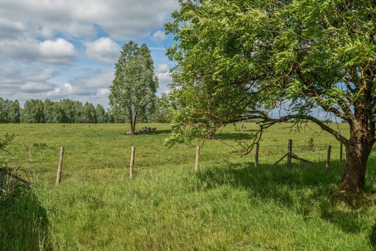Images for Guildford Road, Farnham, Surrey